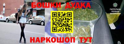 ALPHA PVP Пугачёв